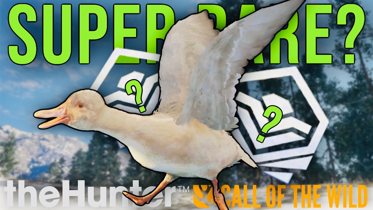 Did I Just Get A SUPER RARE? 7 Day Askiy Ridge Hunt | Hypifed | theHunter : call of the wild