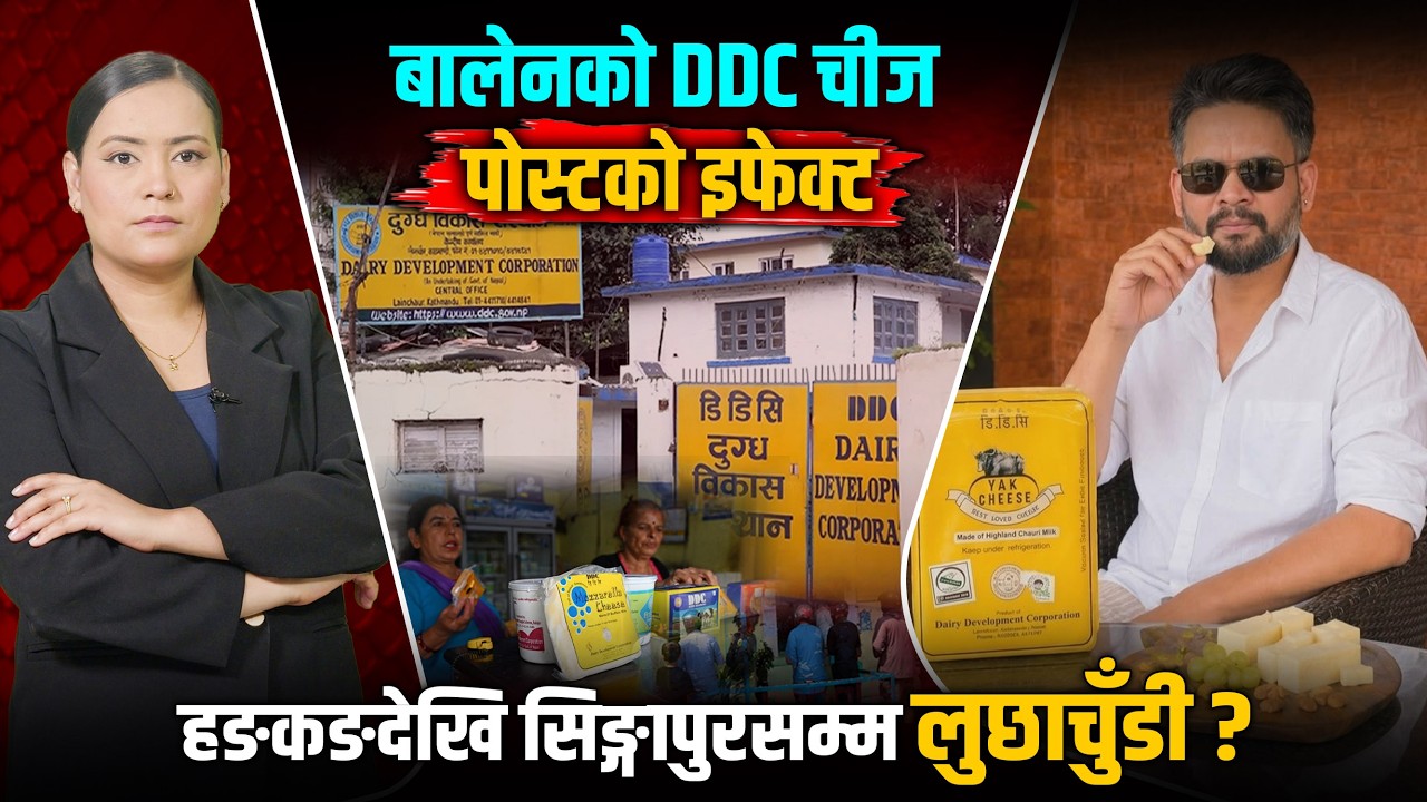 बालेनको पोस्टले DDC याक चिज भाइरल, ह्वात्तै बढ्यो माग ?