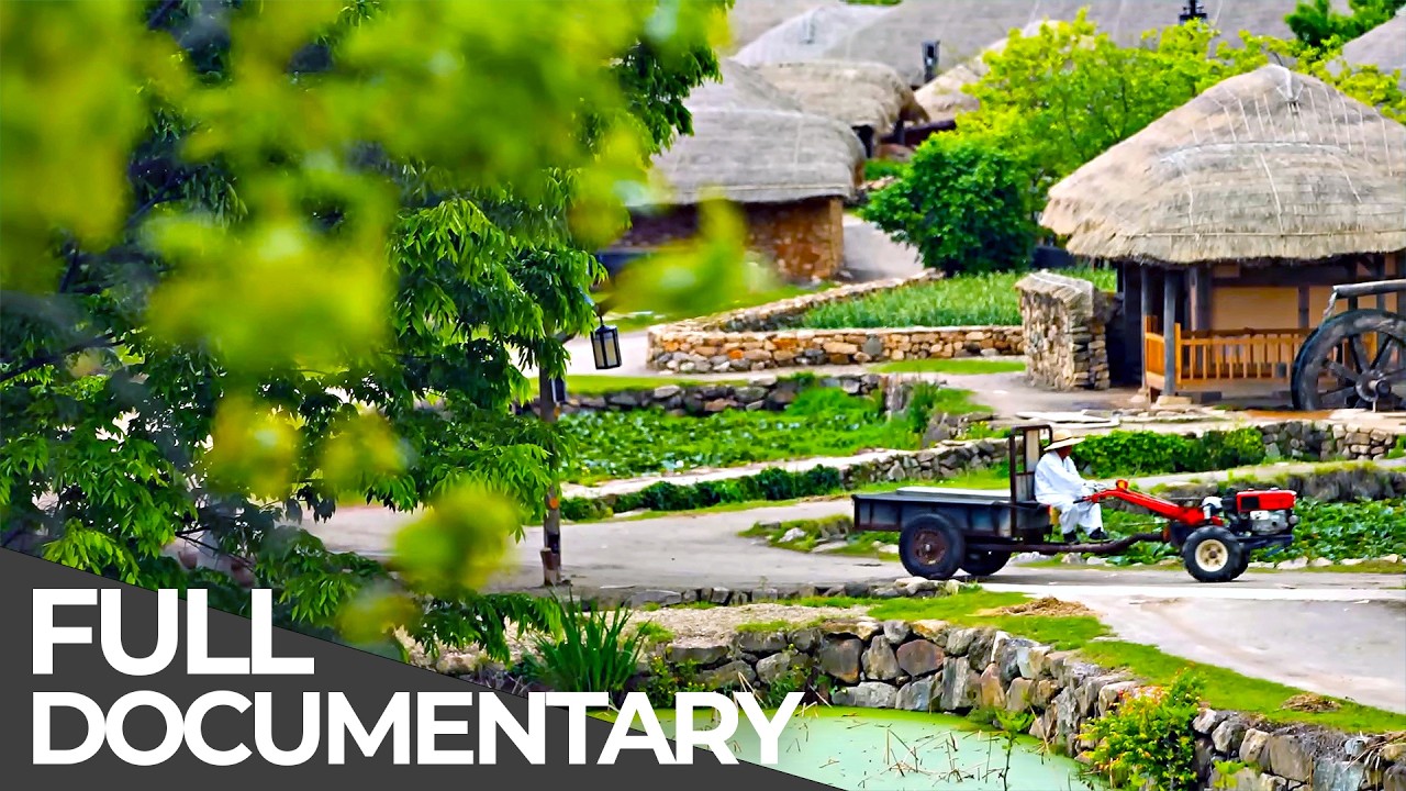 Earth Untold: South Korea | Hidden Tales from the Land of the Calm Morning | Free Documentary