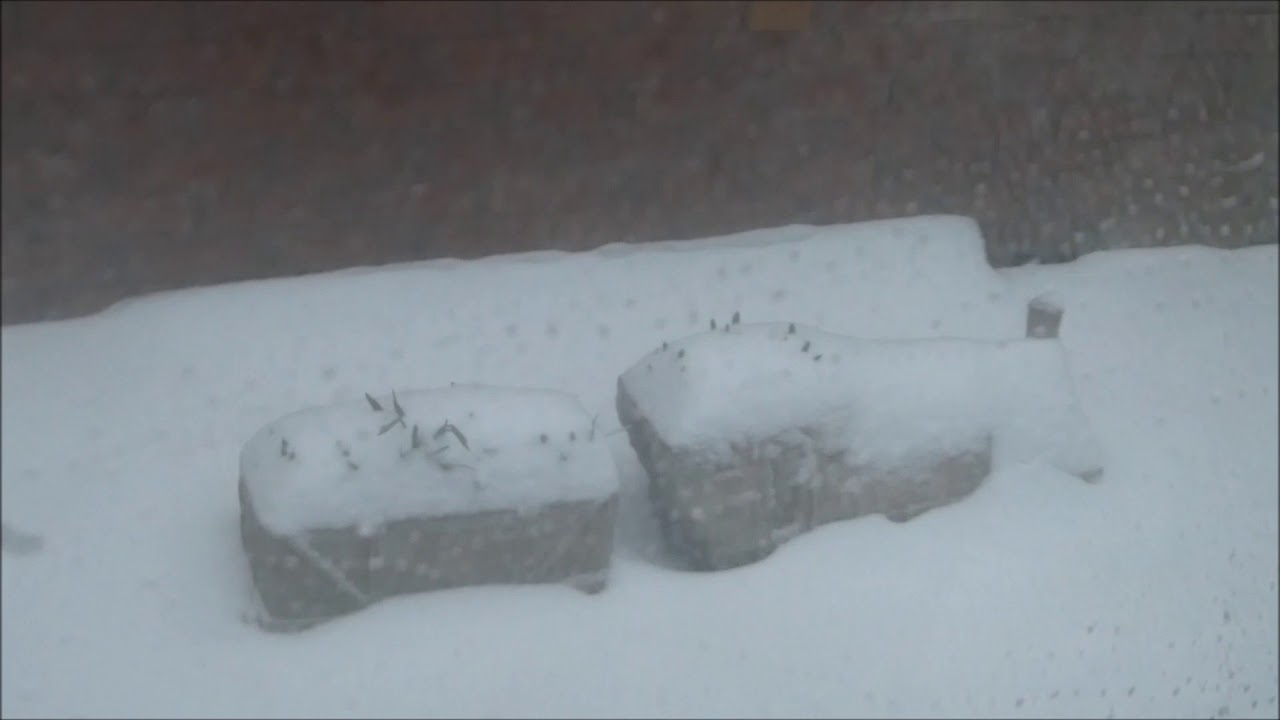 SNOW STORY WEST SOMERSET 1 MARCH 2018