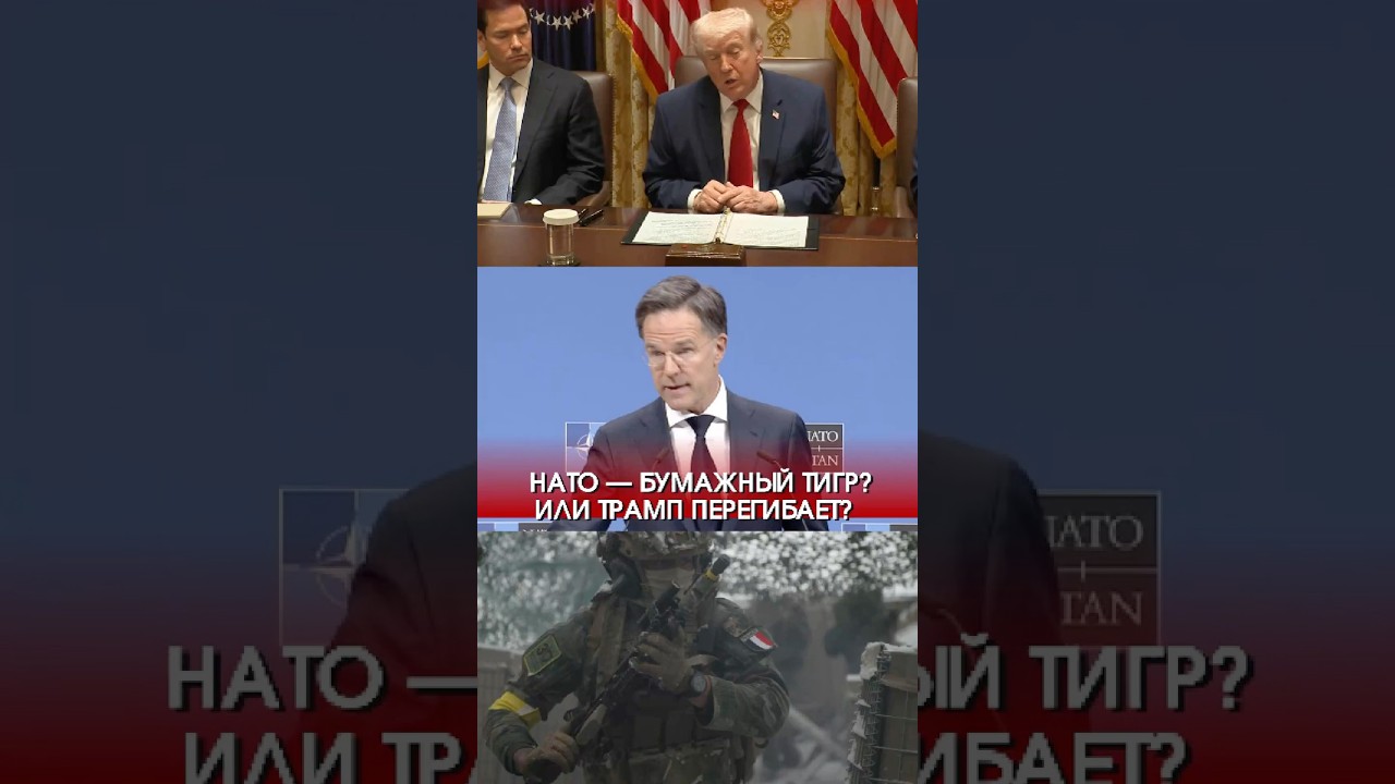 Трамп атакует НАТО: &laquo;бумажный тигр&raquo; или союз, который уже воевал за США?