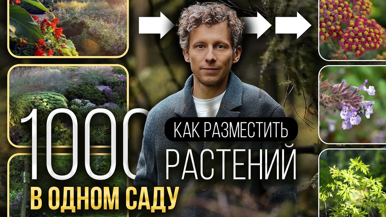 Так выглядит ИДЕАЛЬНЫЙ сад — 1000 растений на одном участке и все сочетаются!