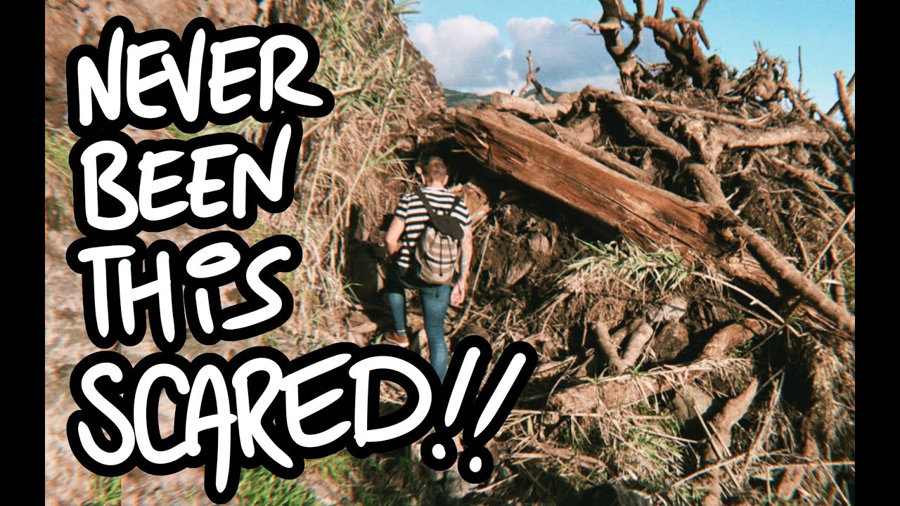 Off-Grid in the Azores - UNEXPECTED nightmare | starting tiny home renovations (trip 2, part 1)