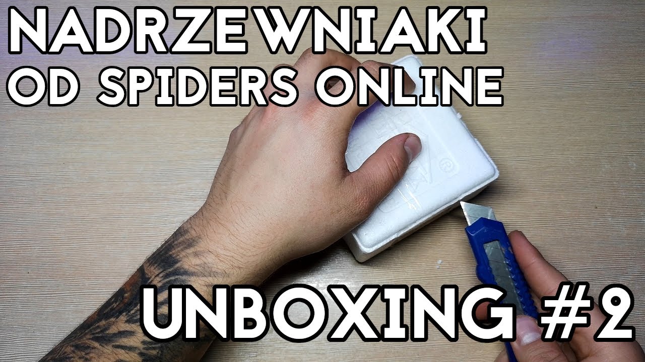 Unboxing #2 2x AVI OD SPIDERS ONLINE - Avicularia sp. 'peru purple' i metallica 'white hairs'