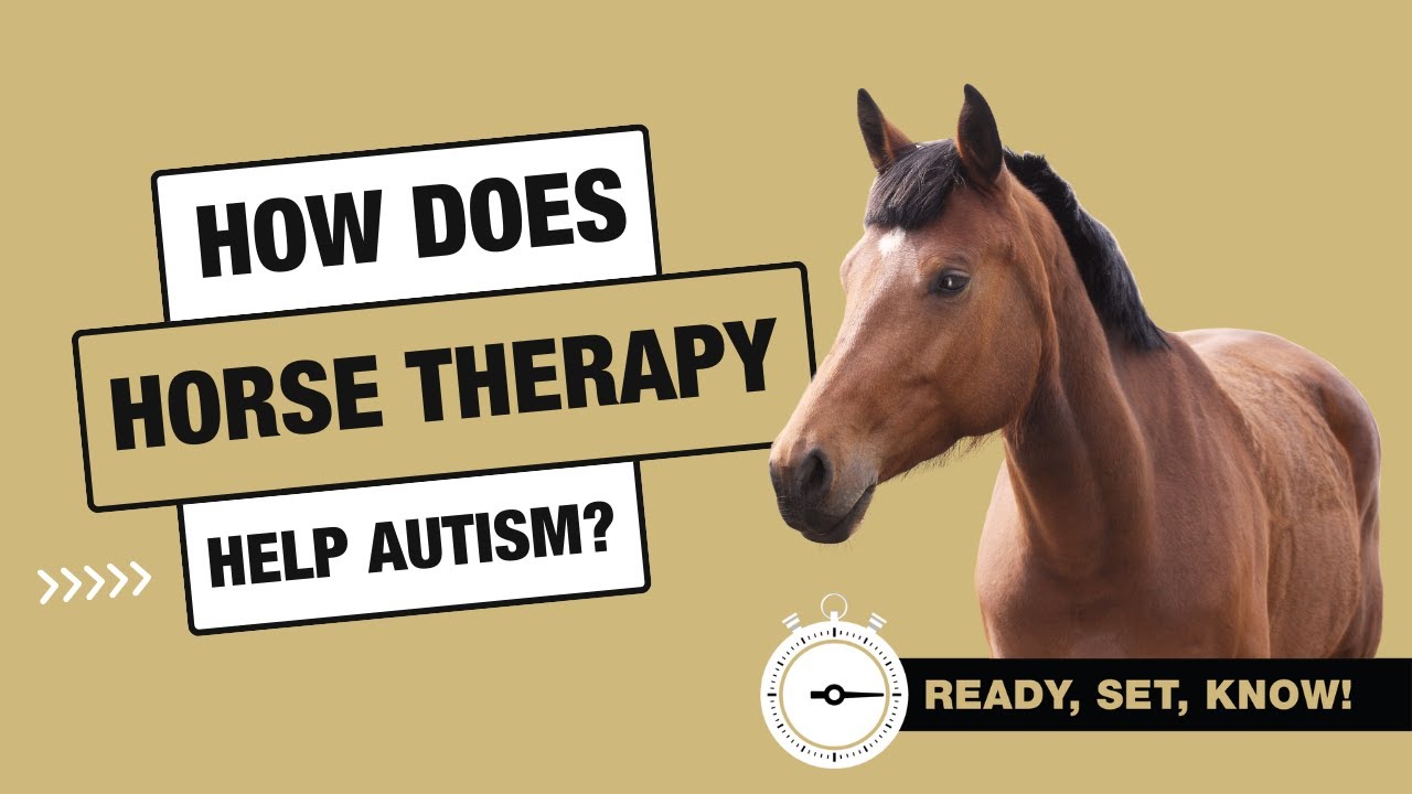How does horse therapy help Autism?