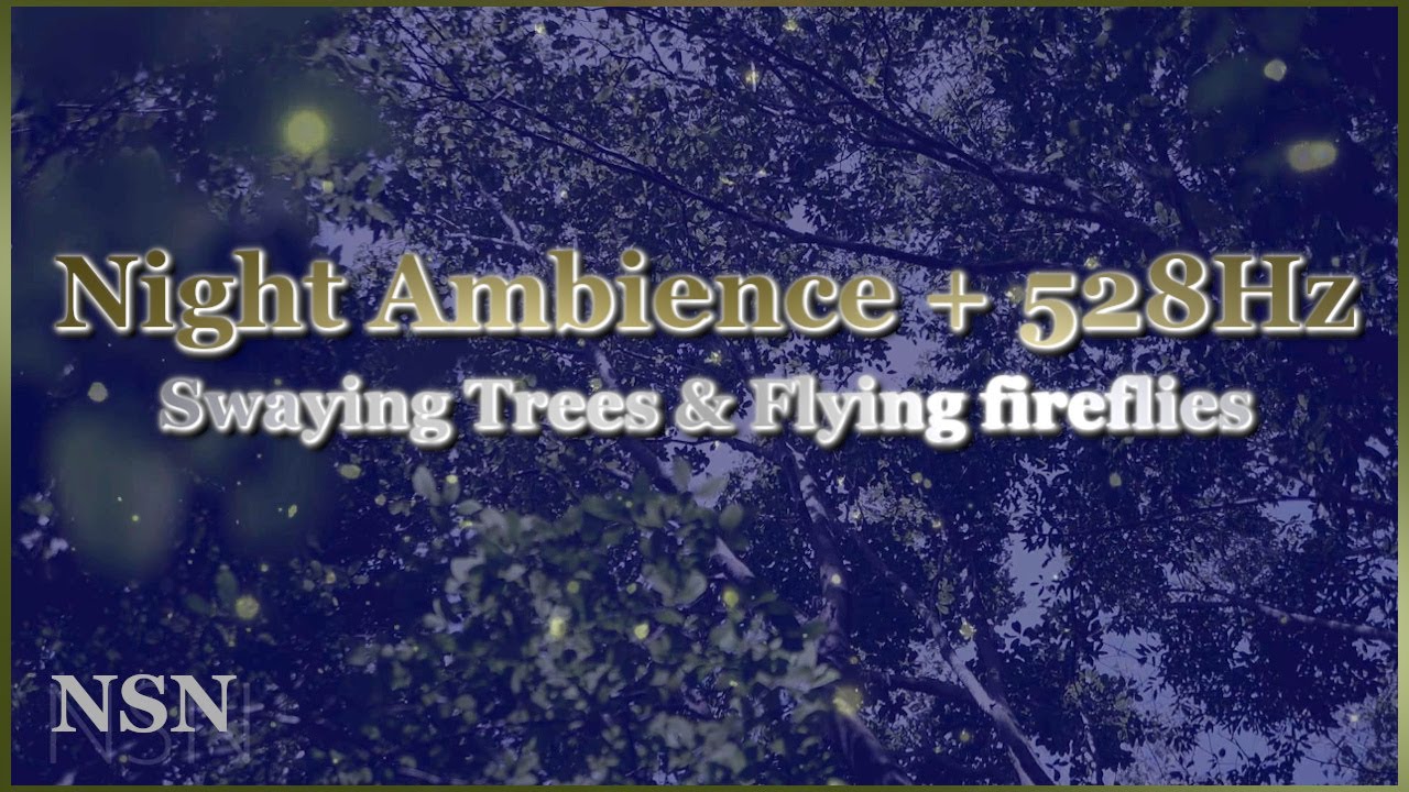 [High Quality Forest Cricket Sound + 528Hz] Night Ambience Swaying Trees And Flying fireflies