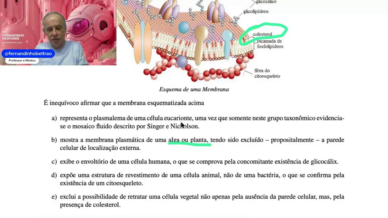QUESTÃO LEGAL SOBRE PLASMALEMA