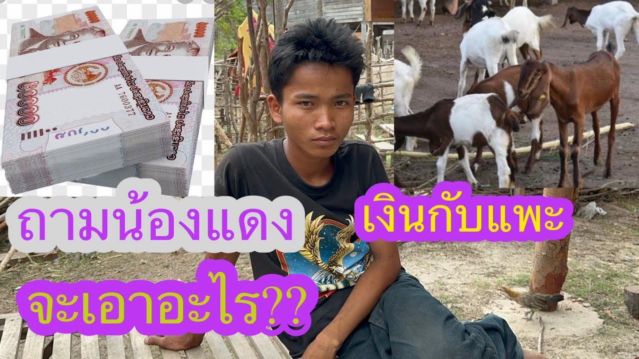 สองพี่น้องผอมมากเลยน้องแดงน้องกึก✌️แม่บอกถ้าไม่อาบน้ำจะไม่โอนเงินให้แล้ว#บ่าวลาวพาเพลิน#