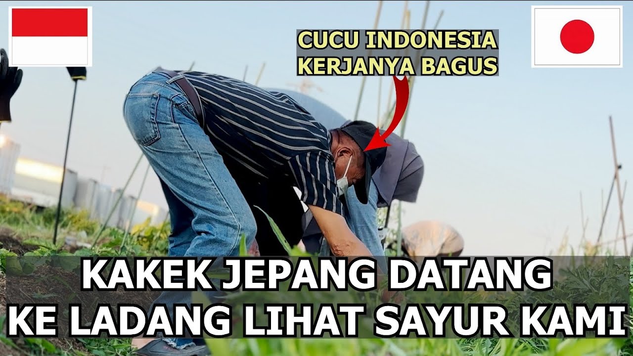 KAKEK JEPANG BANGGA PUNYA CUCU INDONESIA YANG RAJIN BERLADANG