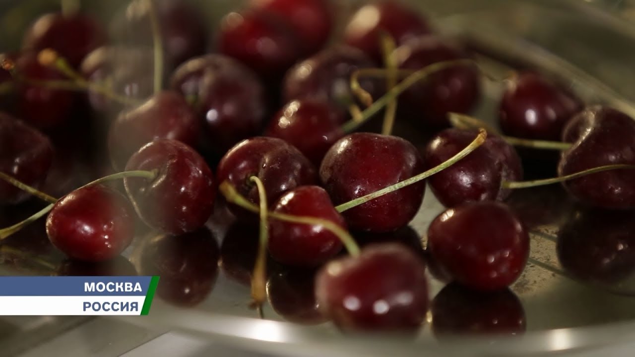 Акустическая заморозка – живой вкус продуктов