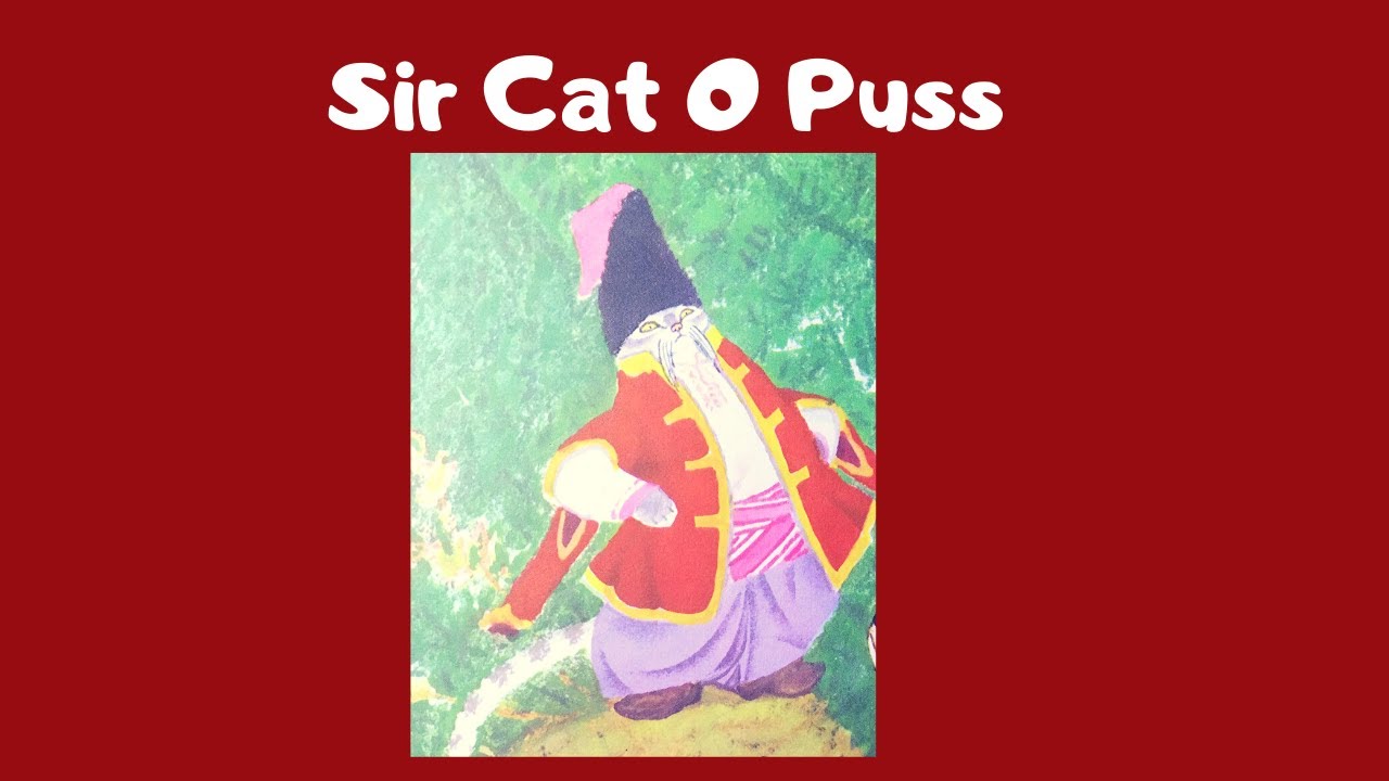 Kids Book Read Aloud|Sir Cat o Puss|Bedtime Stories For kids