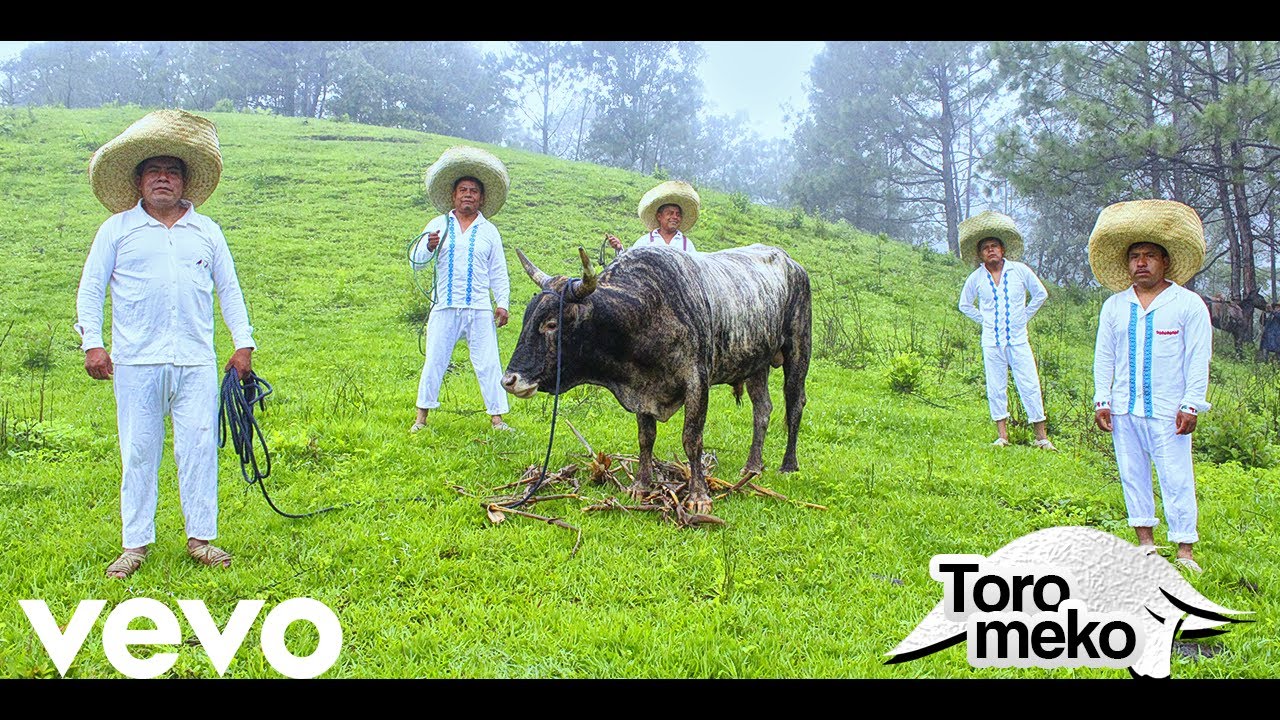 Grupo Toro Meko - 