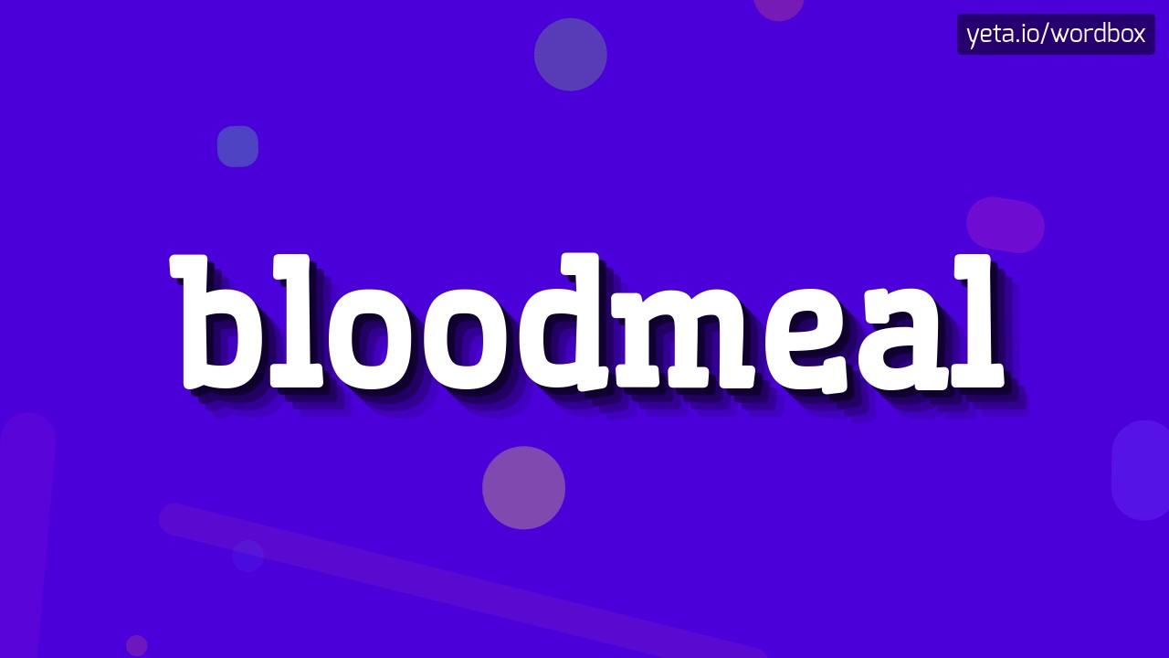 Hoe spreek je bloedmeel uit?  #bloedmeel (HOW TO PRONOUNCE BLOODMEAL? #bloodmeal)