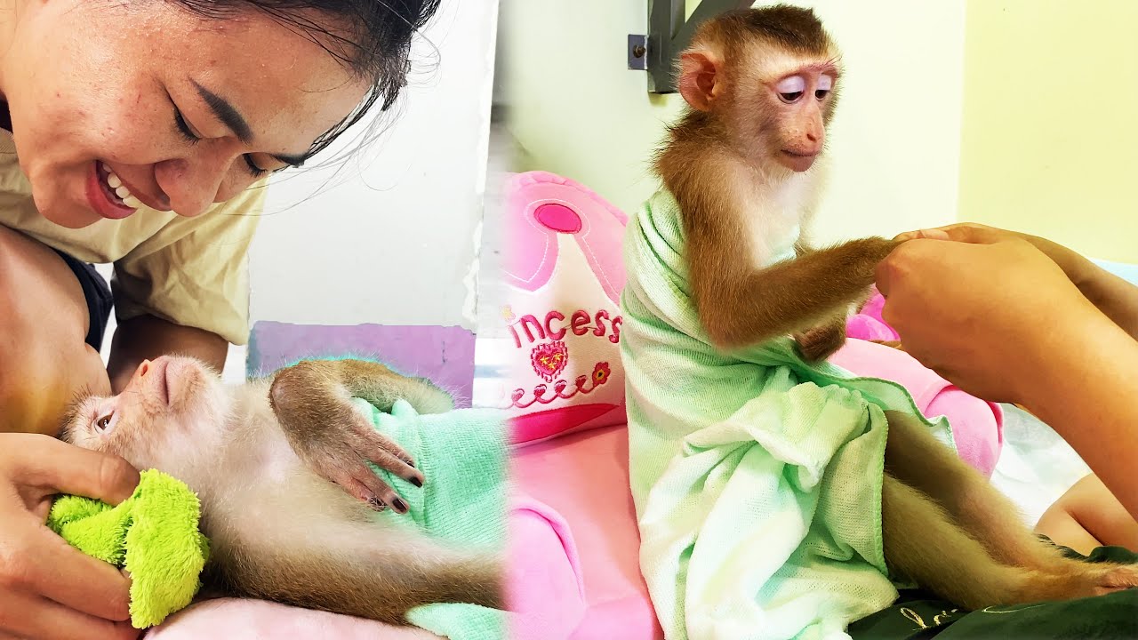 Monkey Lyly experiences hair washing, massage and beauty services at "mother's spa"