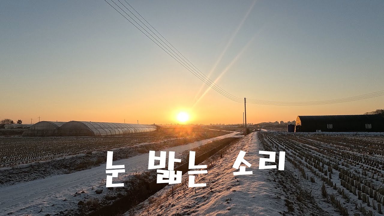 겨울 아침 논에서 녹음한 눈 밟는 소리 ❄️