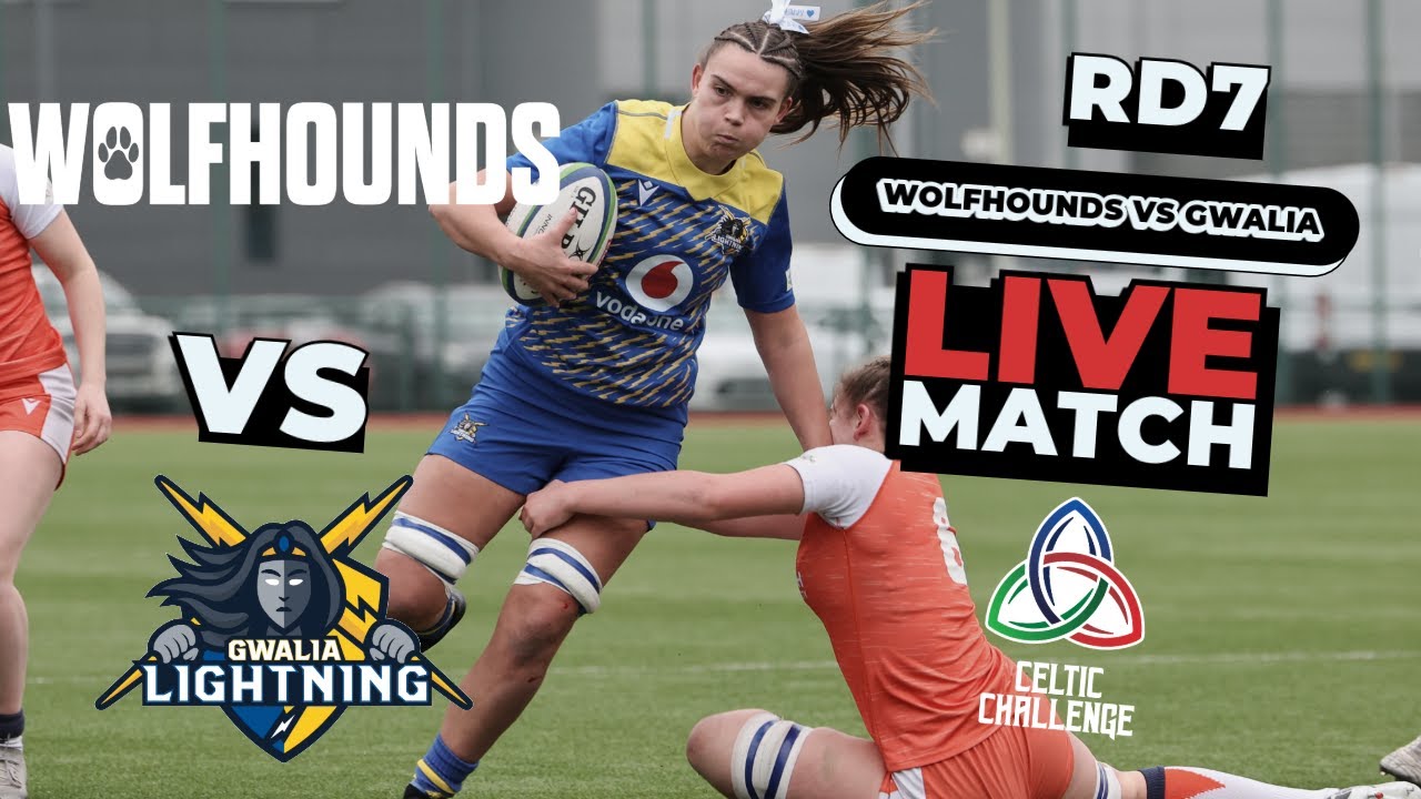 Wolfhounds vs Gwalia Lightning Rd7 LIVE | Celtic Challenge 24/25