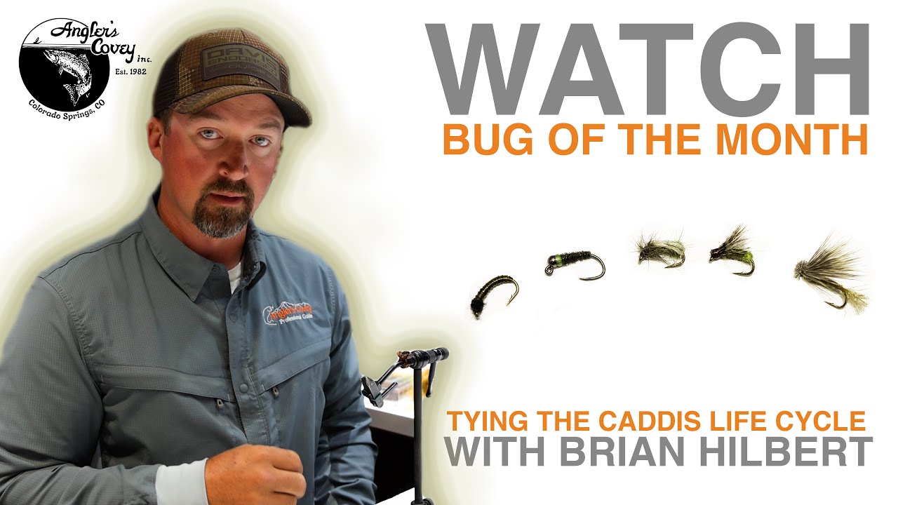 Bug of the Month - Tying the Caddis Life-Cycle With Brian Hilbert