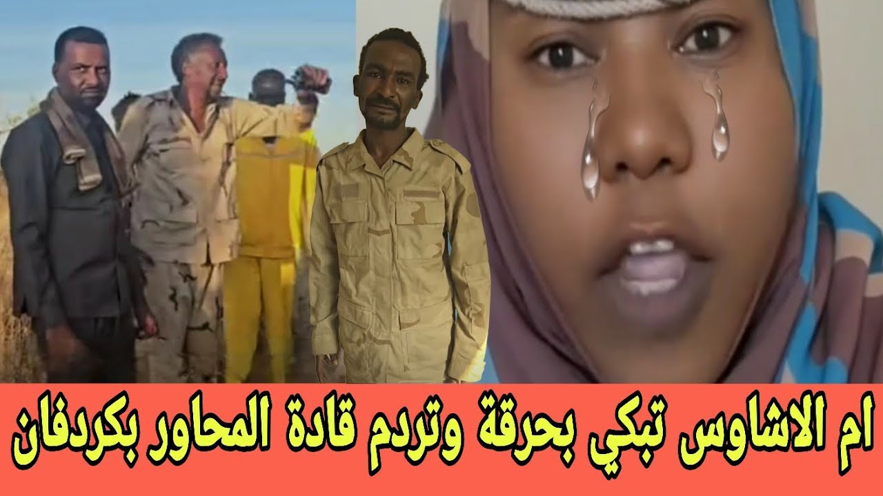 ام الاشاوس تصـرخ وتقول كل قادة المحاور طوابير كراع واحد جوه وكراع بره ورسالتها للجنود ان يثبـتو
