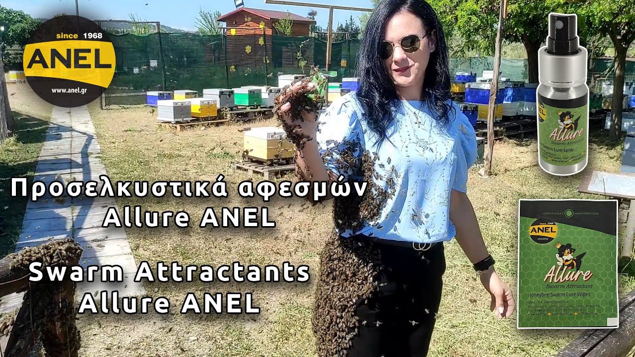 Πώς μπορείς να προσελκύσεις ένα μελίσσι που φεύγει. (ολόκληρη η διαδικασία)