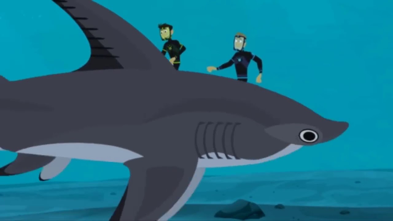 Wild Kratts S6E5 