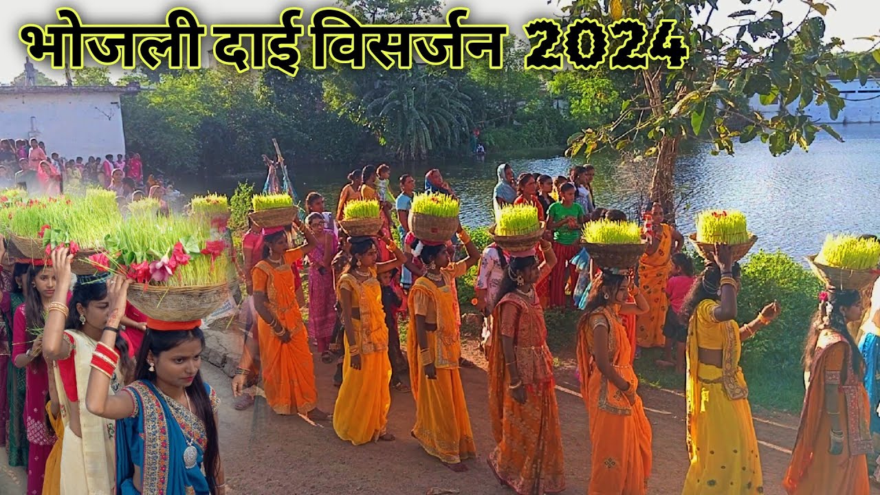 भोजली दाई विसर्जन ll vlog video cg ll