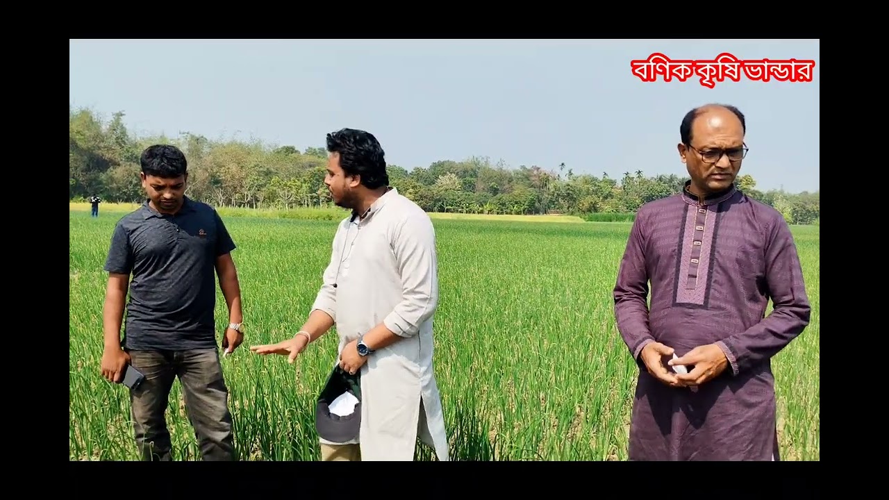 এমাস ১০ পেঁয়াজের কাস্টমার রিভিউ, কুষ্টিয়া #banik #faridpur #amas10#kustia #pabna #rajbari #viral 