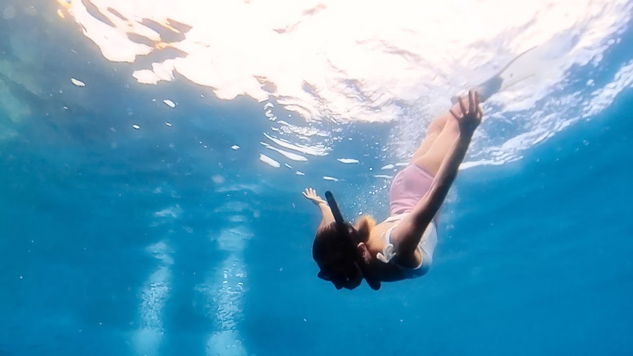 Our FAVORITE Place to Snorkel in BOHOL