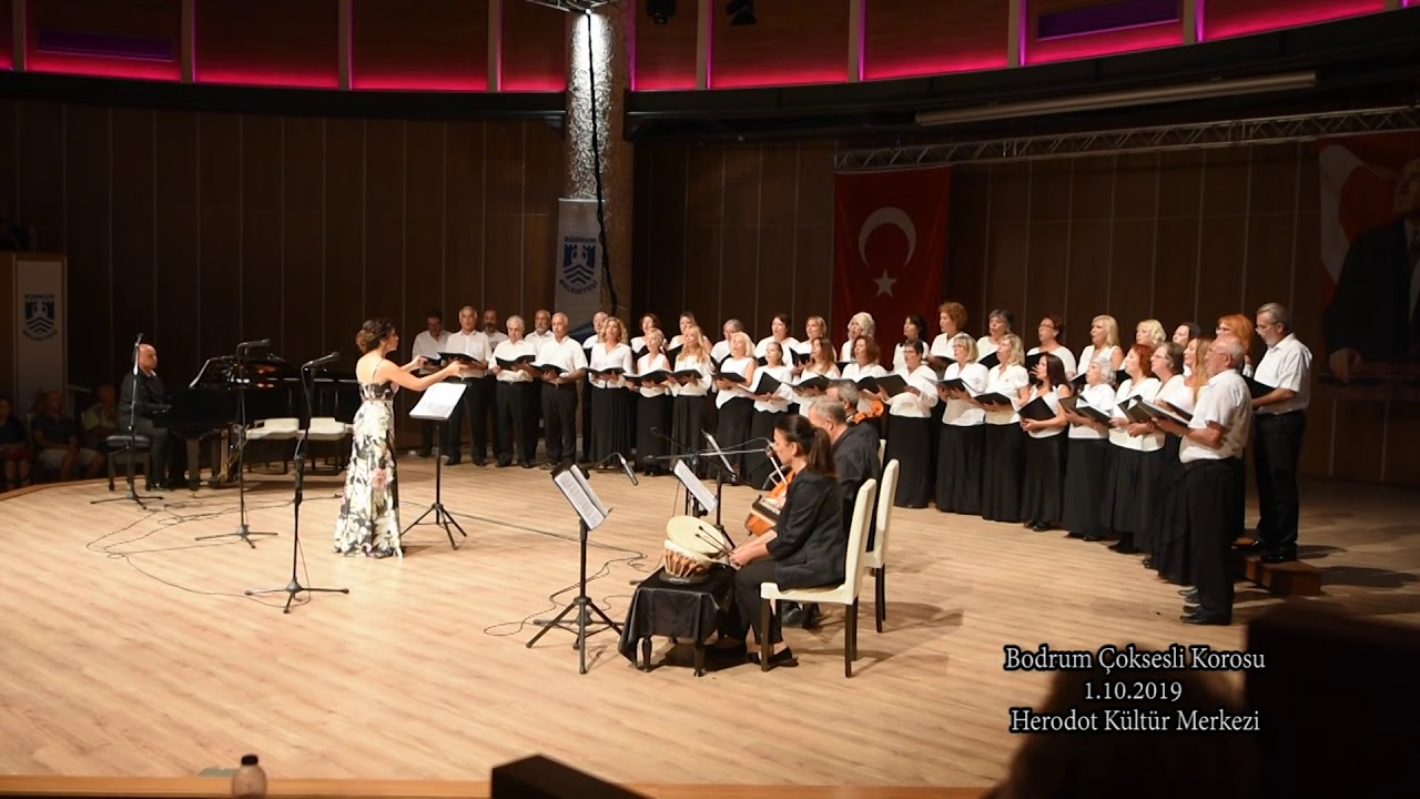 Havuzbaşının Gülleri
