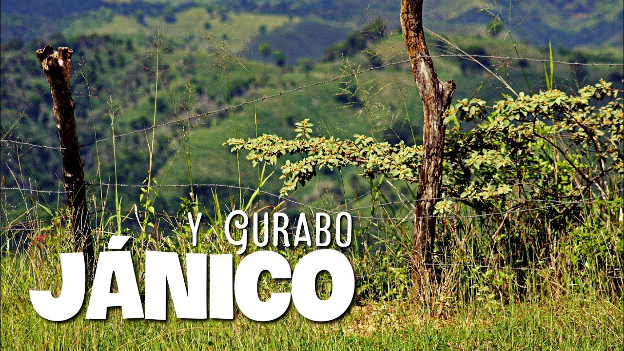 Janico y Gurabo