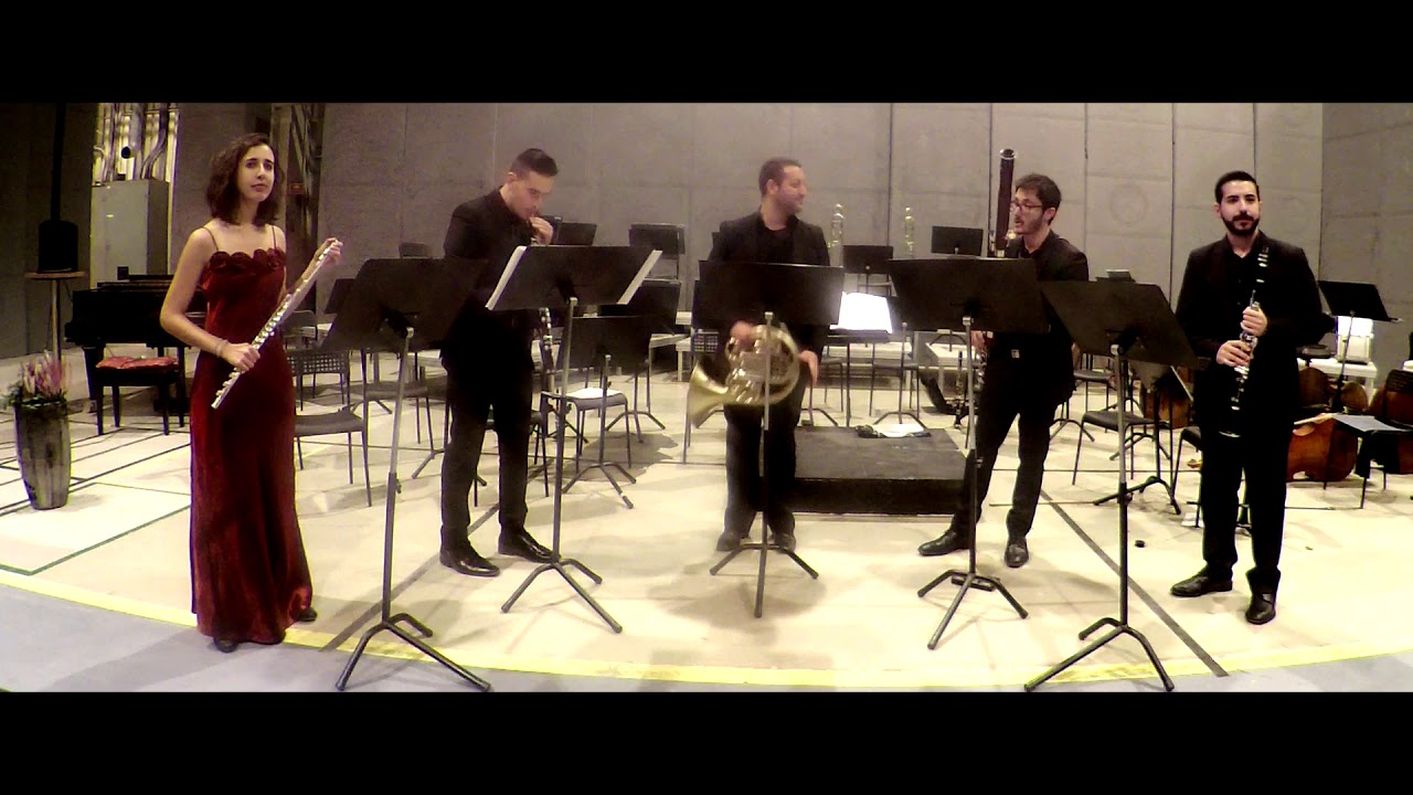 Wind Quintet in D Major op. 124. Giulio Briccialdi -Tosca Ensemble- Live