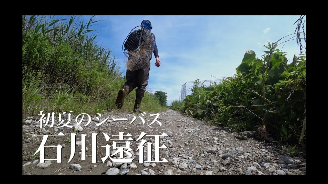 石川県初のシーバスを追う。編【シーバス遠征】