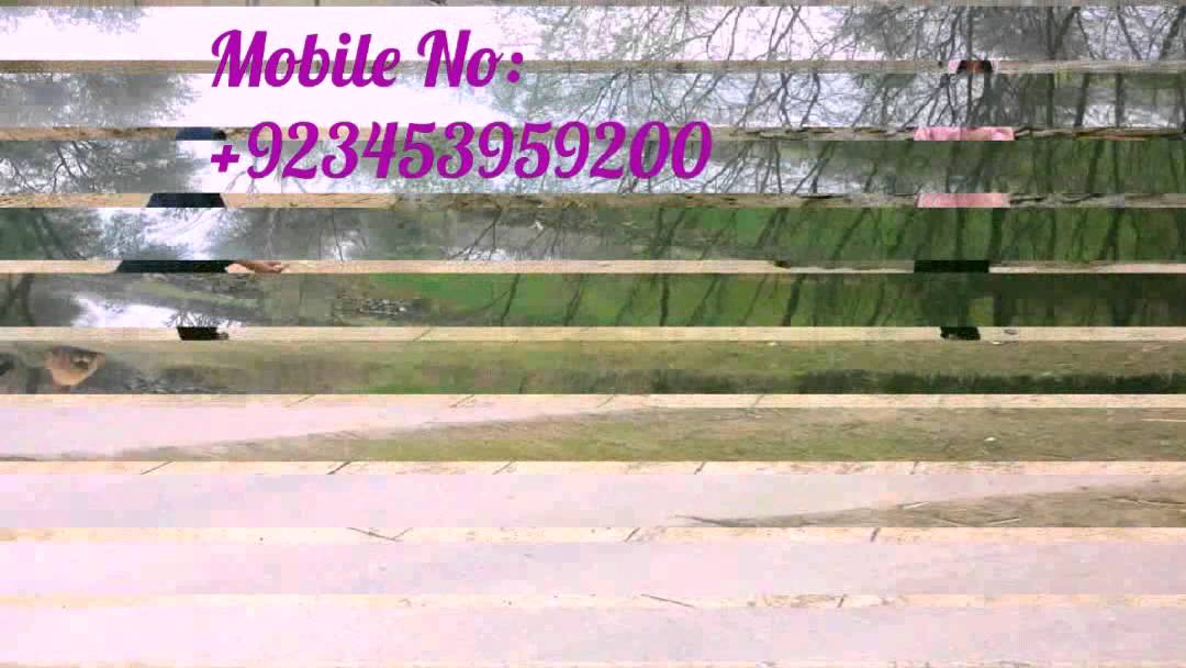 LUNDKHWAR | rafiq travel gaude