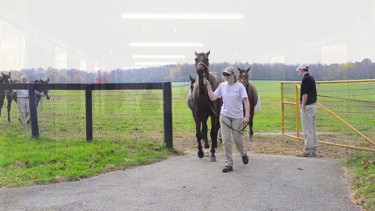 Claiborne Farm