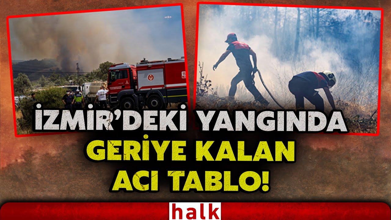 İZMİR'DE YÜREKLERİ BURKAN GÖRÜNTÜLER iki ilçede yangınlar kontrol altında geriye acı gerçekler kaldı