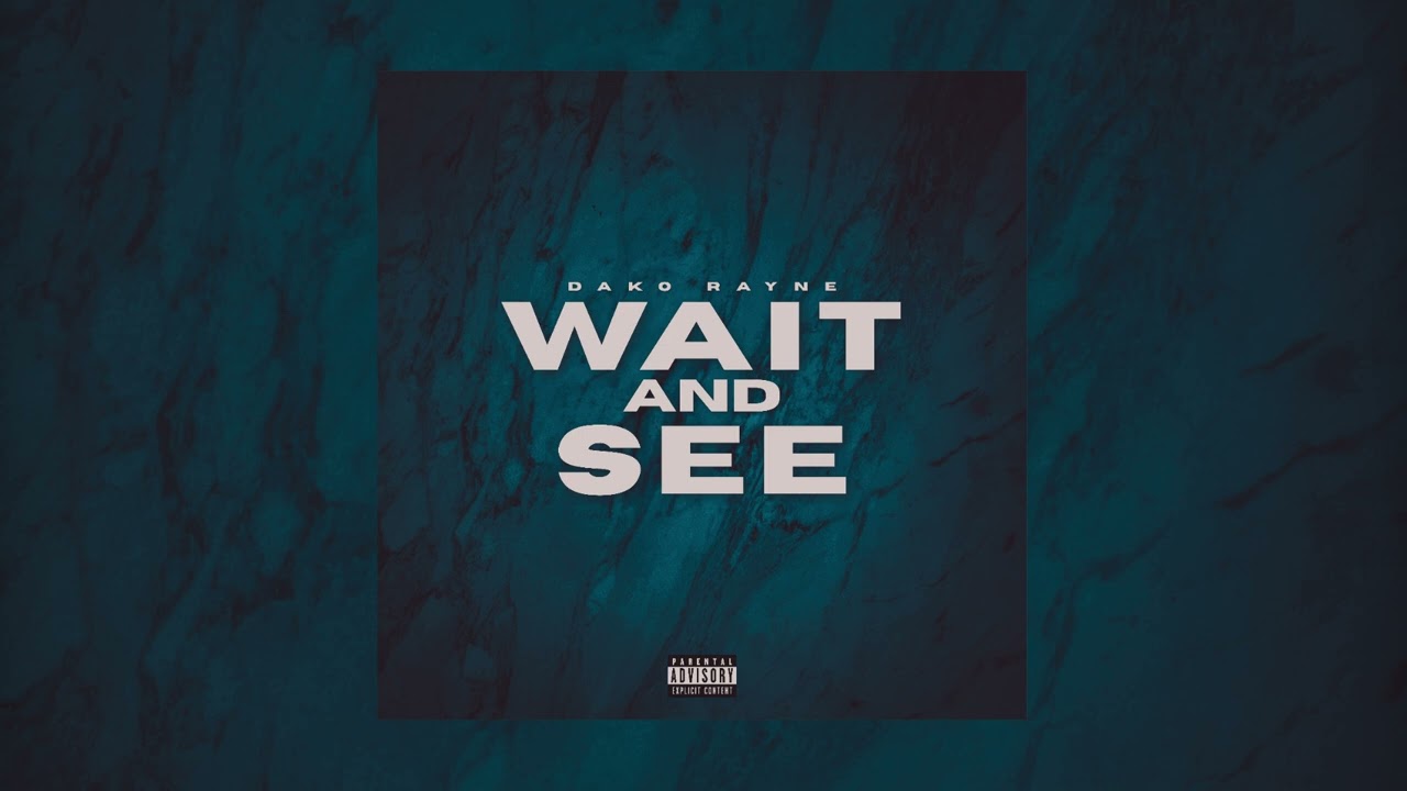 Dako Rayne - Wait and See (Official Audio)
