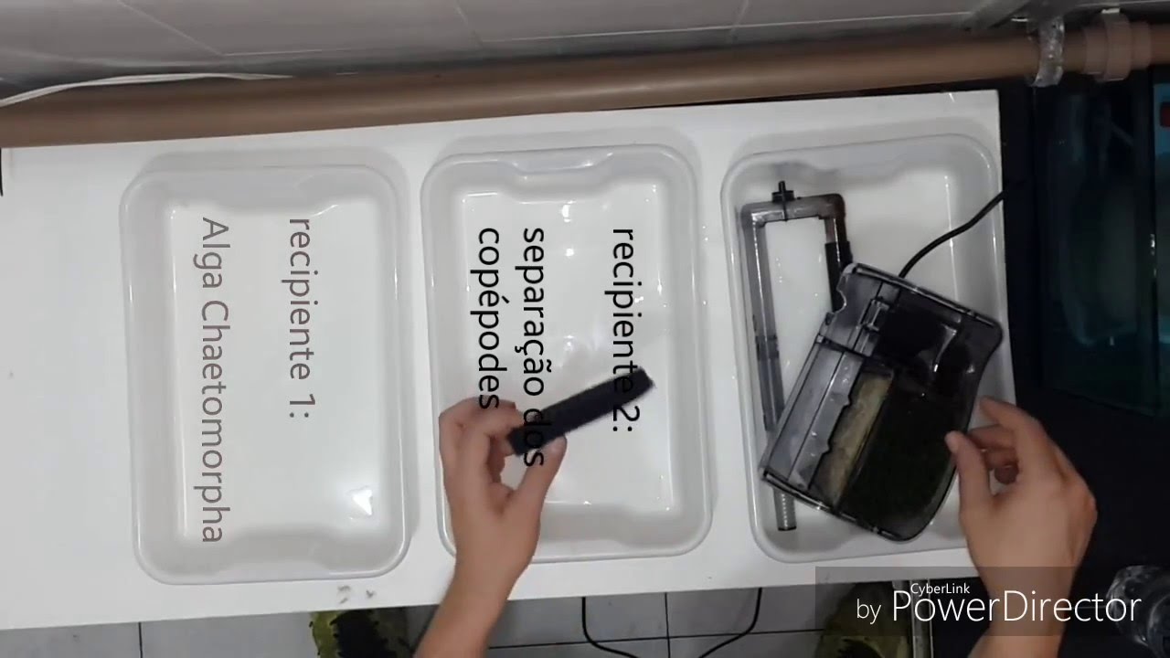 Mini Refúgio - com filtro hang on