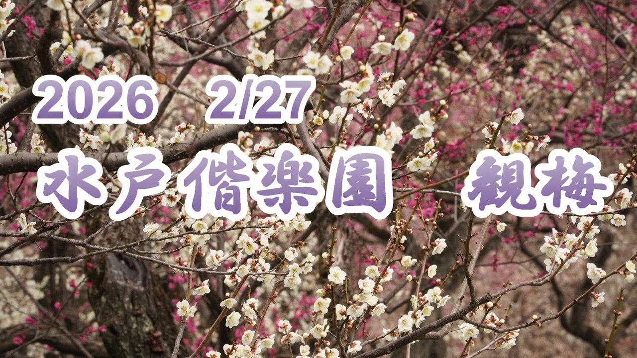 2026 水戸偕楽園  梅まつり