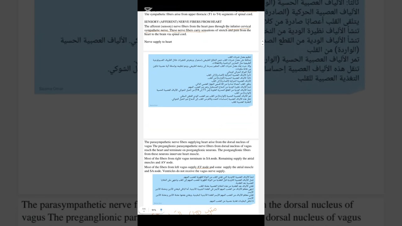 Physiology lec 17part 2طب الاسنان مرحله ثانيه 