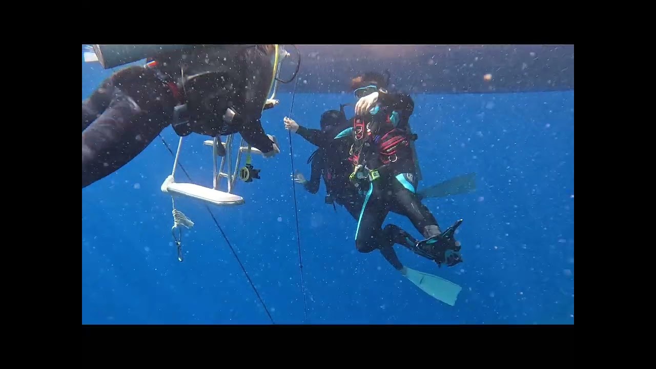 2026.1.19-20Let’s Fun Dive!