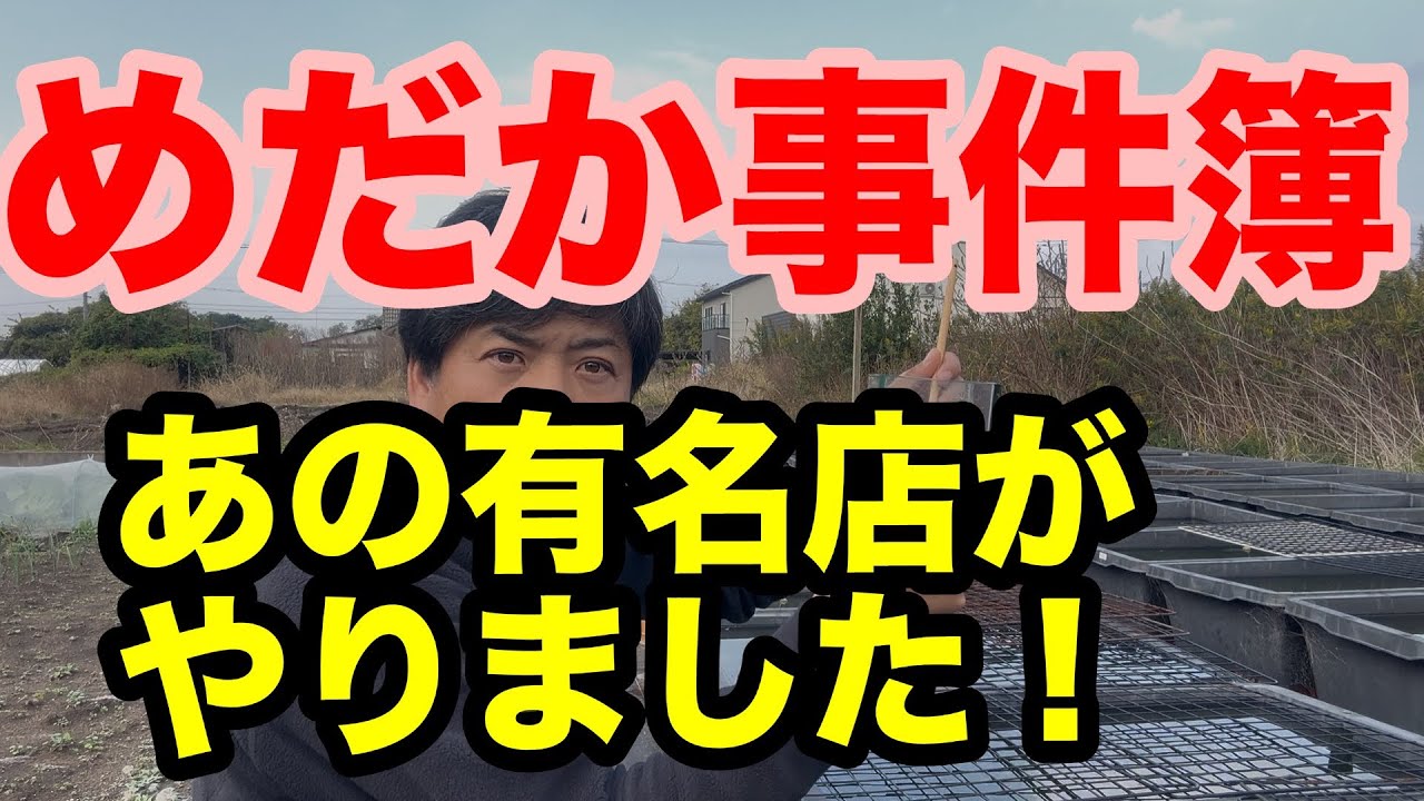 2025年メダカ購入して大失敗！注意喚起動画！