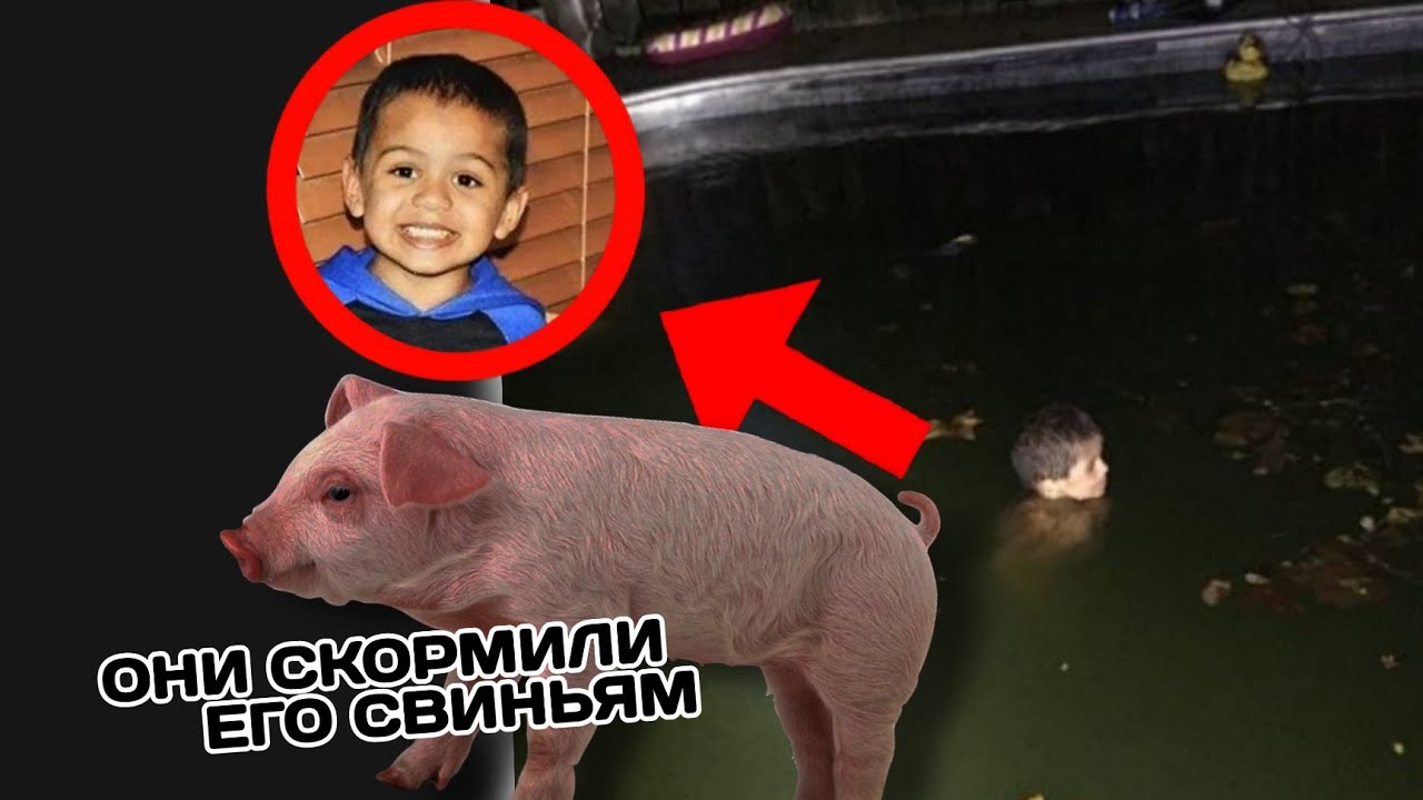 ОНИ СКОРМИЛИ ЕГО СВИНЬЯМ