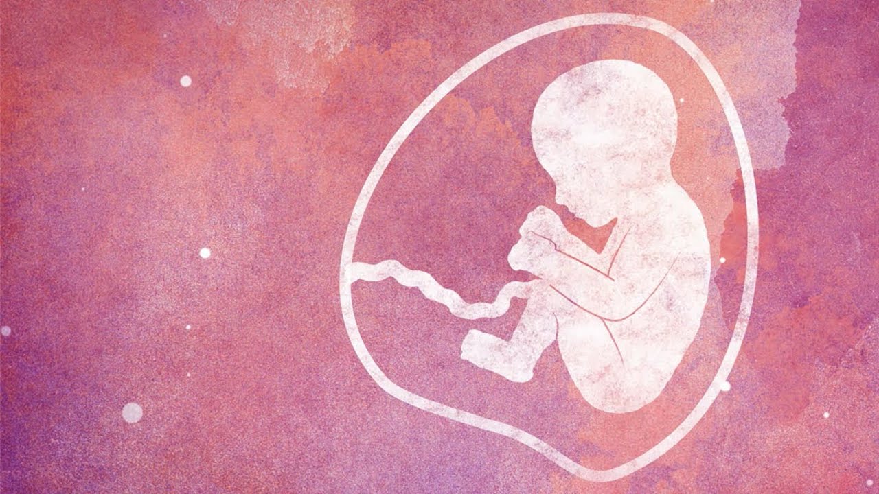 The first 1,000 days: their impact on a child's future, narrated by Jay Rayner