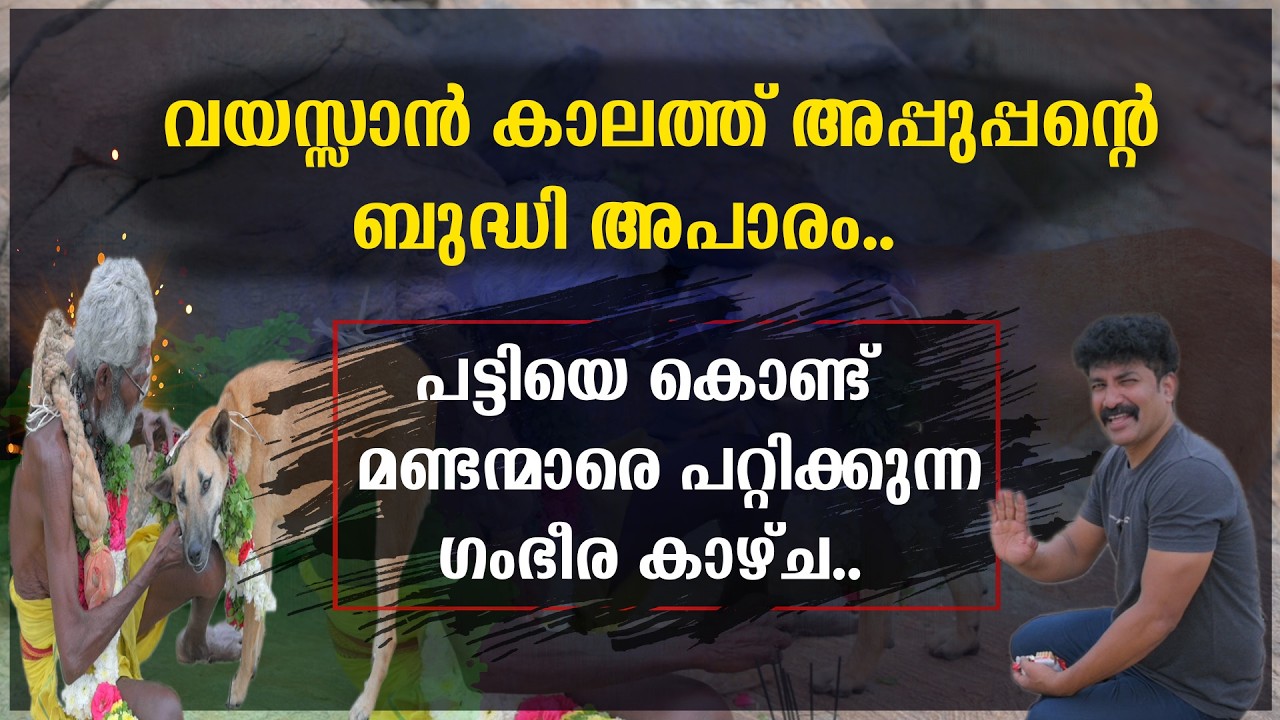 വയസ്സാൻ കാലത്ത് അപ്പുപ്പന്റെ ബുദ്ധി അപാരം | പട്ടിയെ കൊണ്ട് മണ്ടന്മാരെ പറ്റിക്കുന്ന ഗംഭീര കാഴ്ച