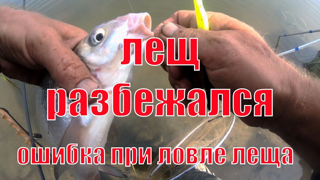 Ловля леща  Как можно испортить рыбалку