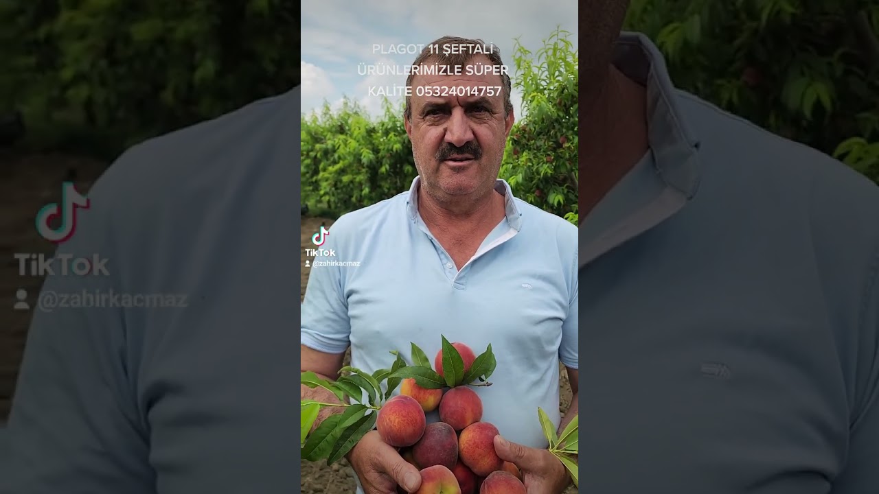 PLAGOT 11 ŞEFTALİ ÜRÜNLERİMİZLE ÇİFTÇİNİN YÜZÜ GÜLÜYOR