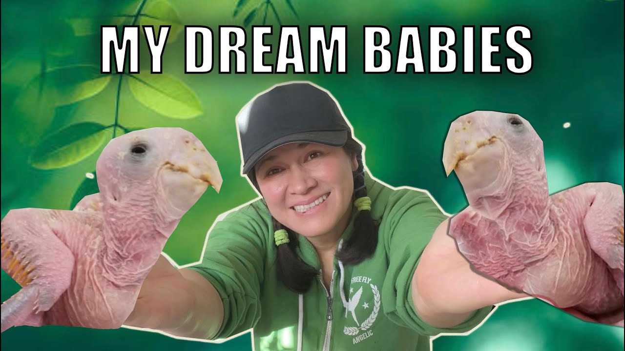 I BOUGHT THE WORLDS MOST RAREST DINOSAURS!