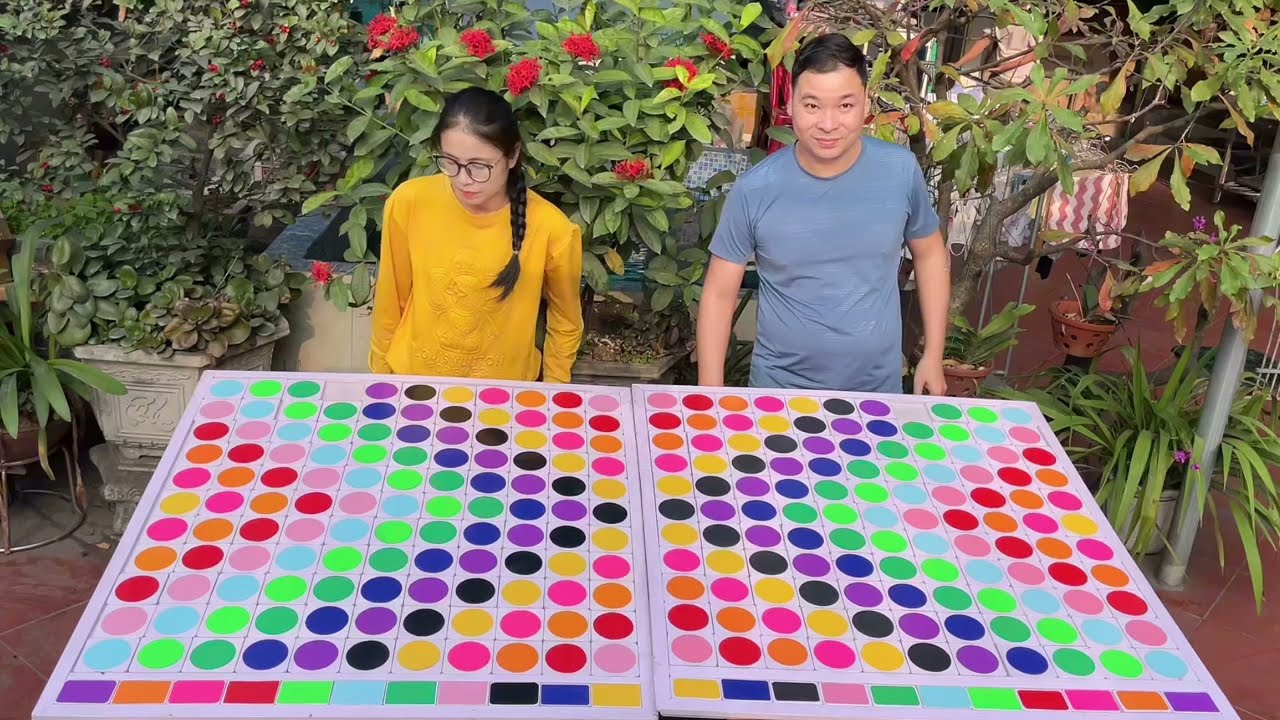 Puzzle sort ball game solve and challenge very quick
