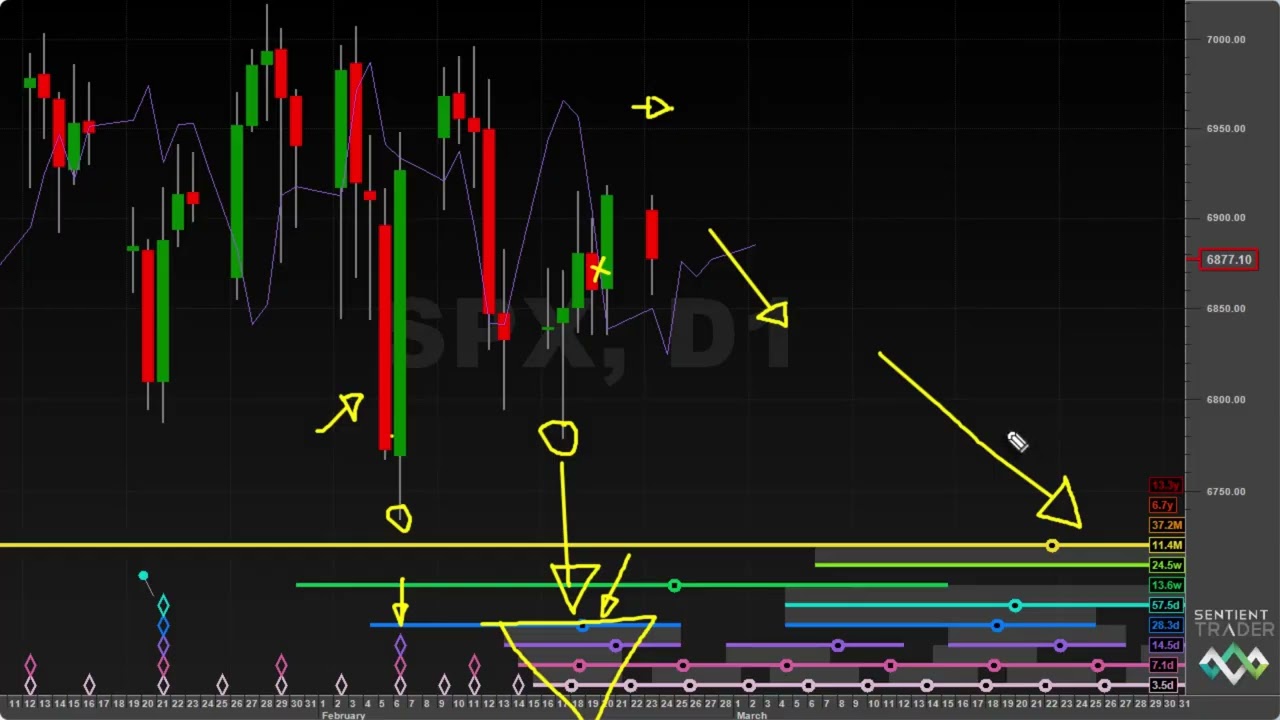 SPX и BTC &mdash; Обзор рынка от Hurst Cycles &mdash; 23 февраля 2026 г.