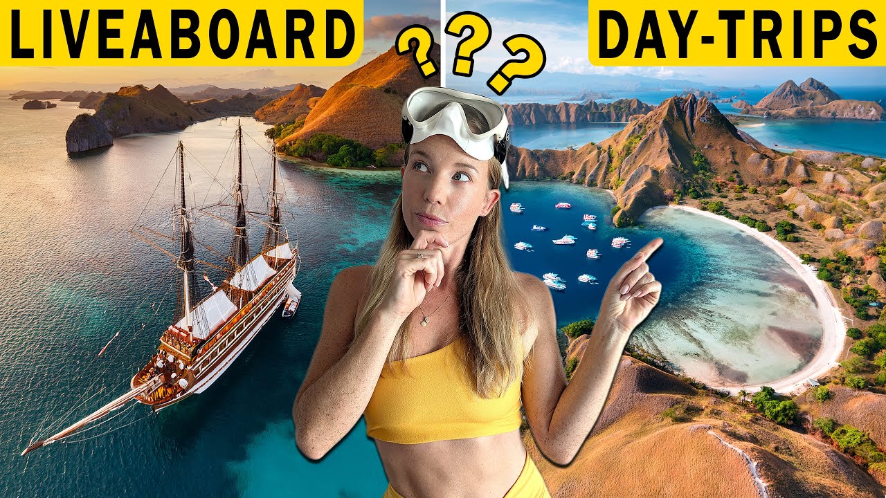 Komodo Diving: Liveaboard vs Day Trips – Don’t Choose Wrong! | Costs, Logistics, Diving