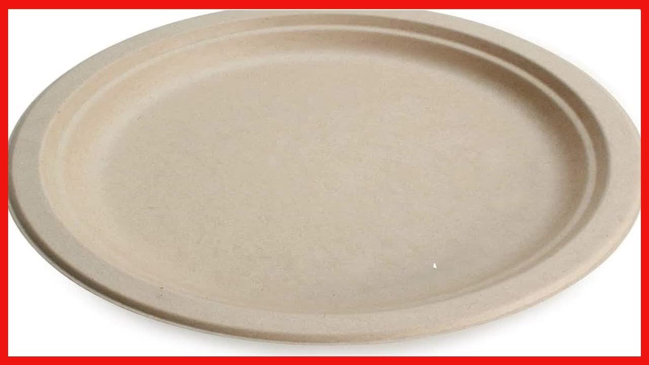 100% Compostable Disposable Paper Plates Bulk [9